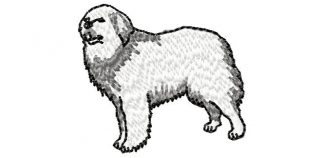 066020
