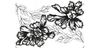 220509 - Image 1