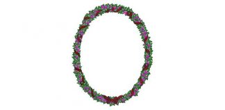 24purp~1-2 - Image 1