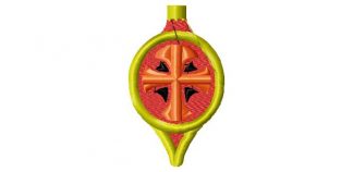 65196 - Image 1