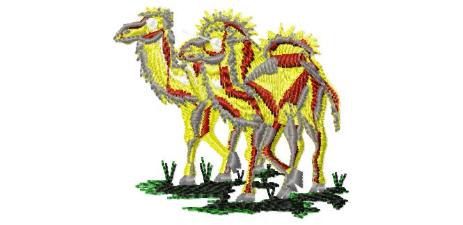 Camels