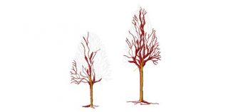 Fpair2 - Image 1