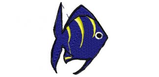 Judifish - Image 1