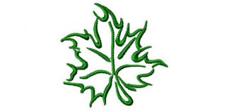 Mplsa