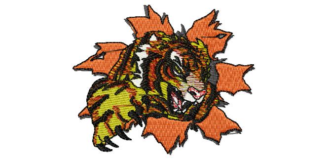 Ms606