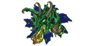 Ms630