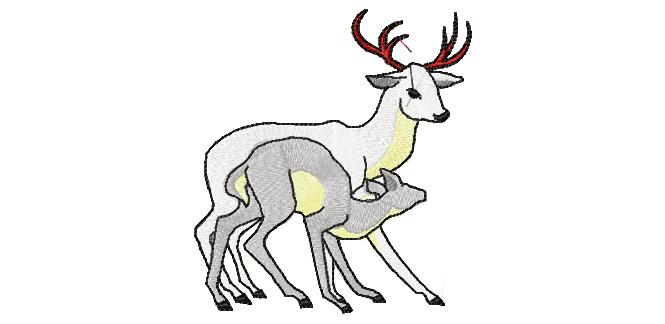 N26