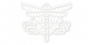 Nx690