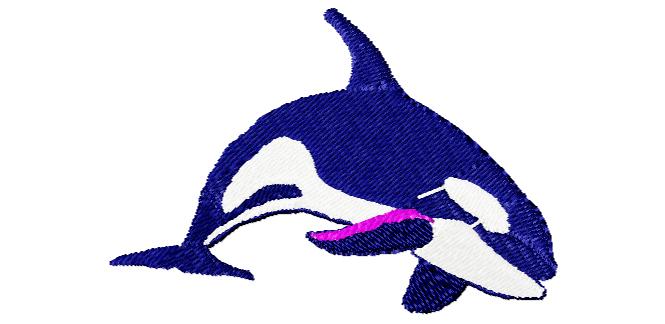 Orca22