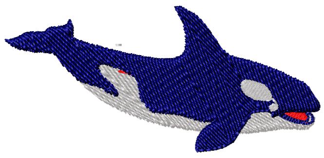 Orca60