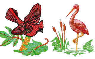 Pájaros