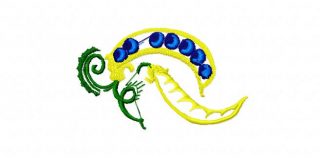 Peapod - Image 1