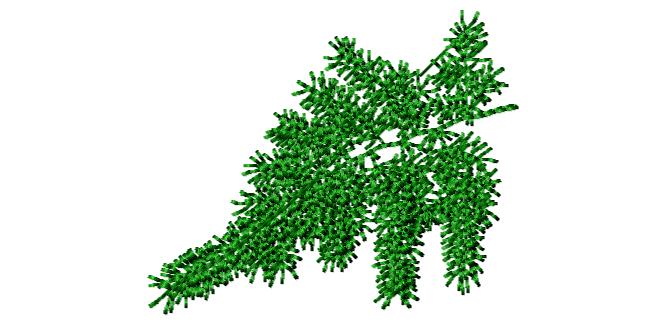 Pine