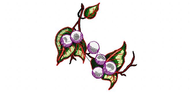 Sp3-010