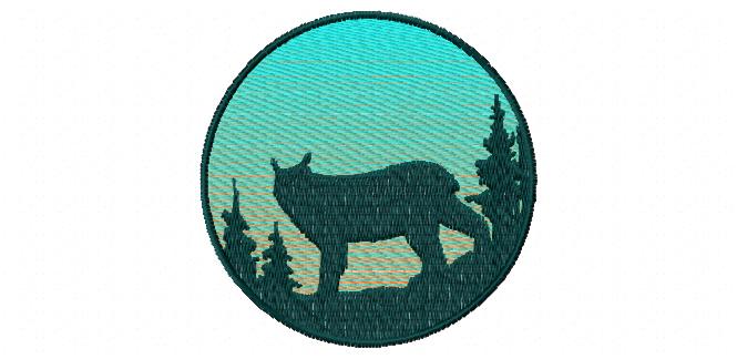 Wo641