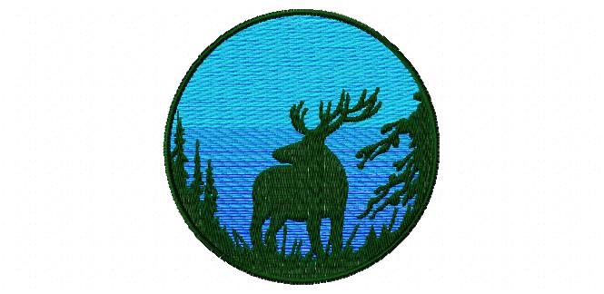 Wo649