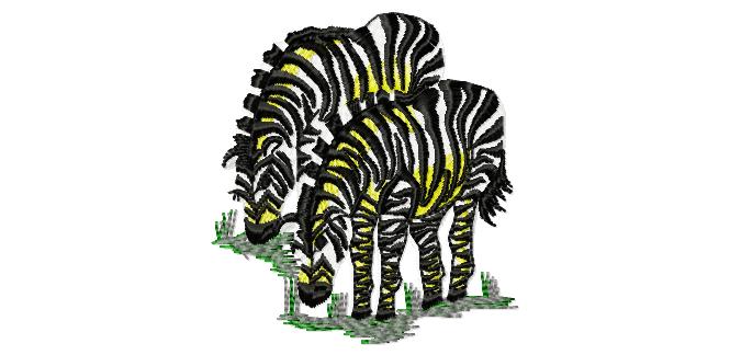 Zebras