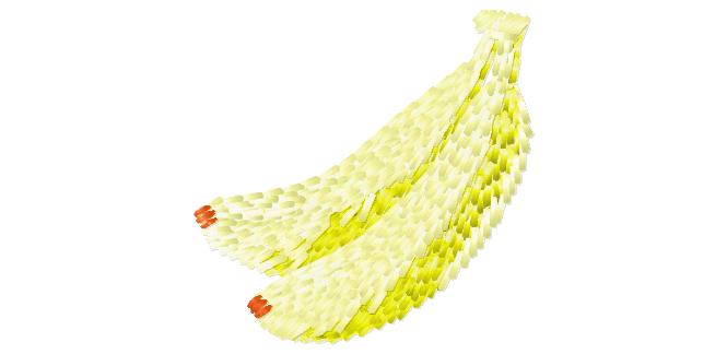 fruit_et_legume015