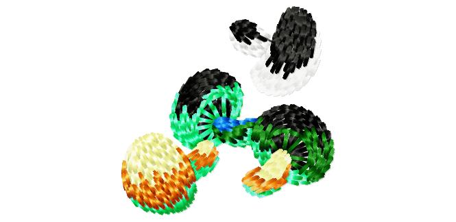 fruit_et_legume019